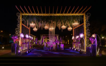 Calista Resort, Kapas Hera, Rs 3600–19500, 4.4/5.0, Outer Delhi