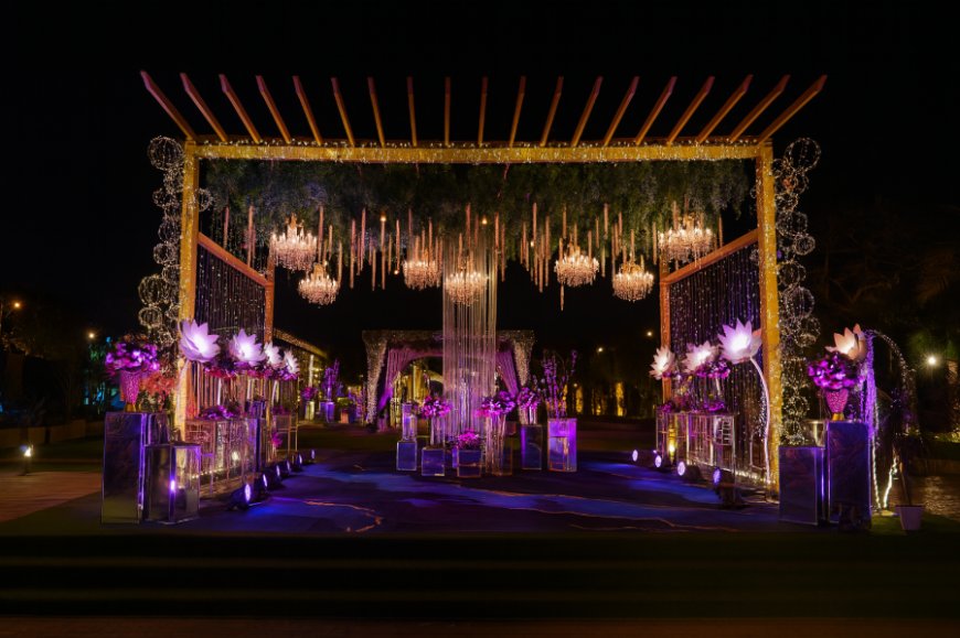 Calista Resort, Kapas Hera, Rs 3600–19500, 4.4/5.0, Outer Delhi